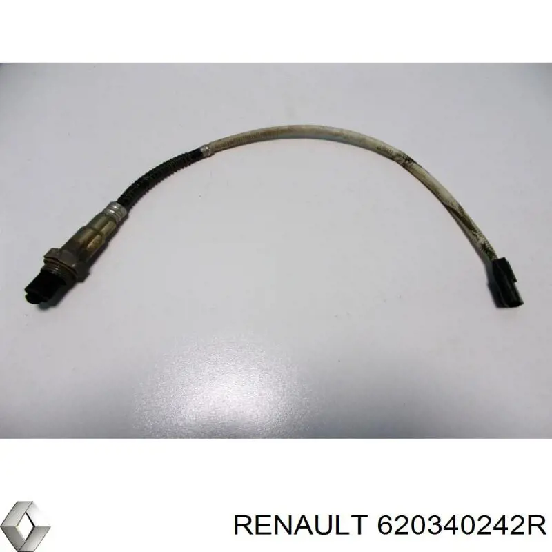  620340242R Renault (RVI)