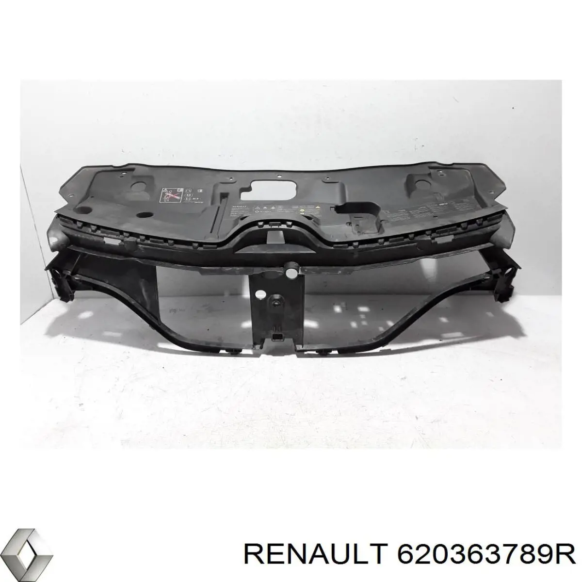  620363789R Renault (RVI)