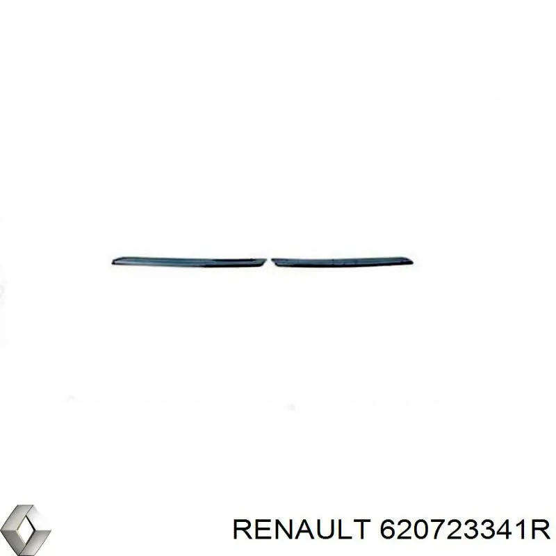 620723341R Renault (RVI) 