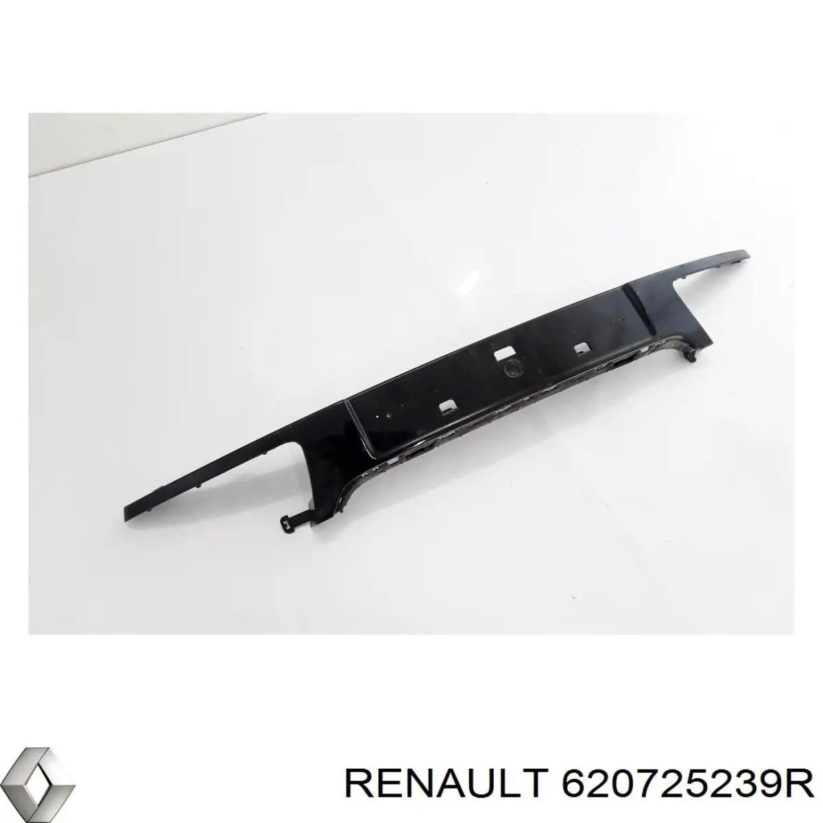 620725239R Renault (RVI) 