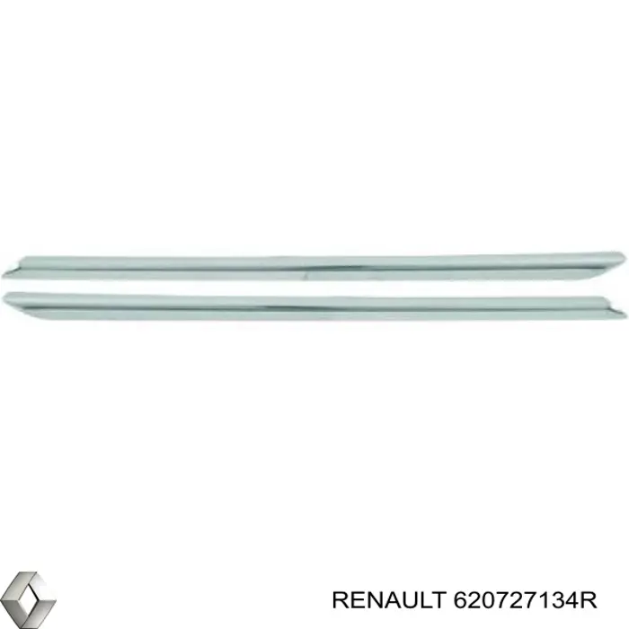 620727134R Renault (RVI) 