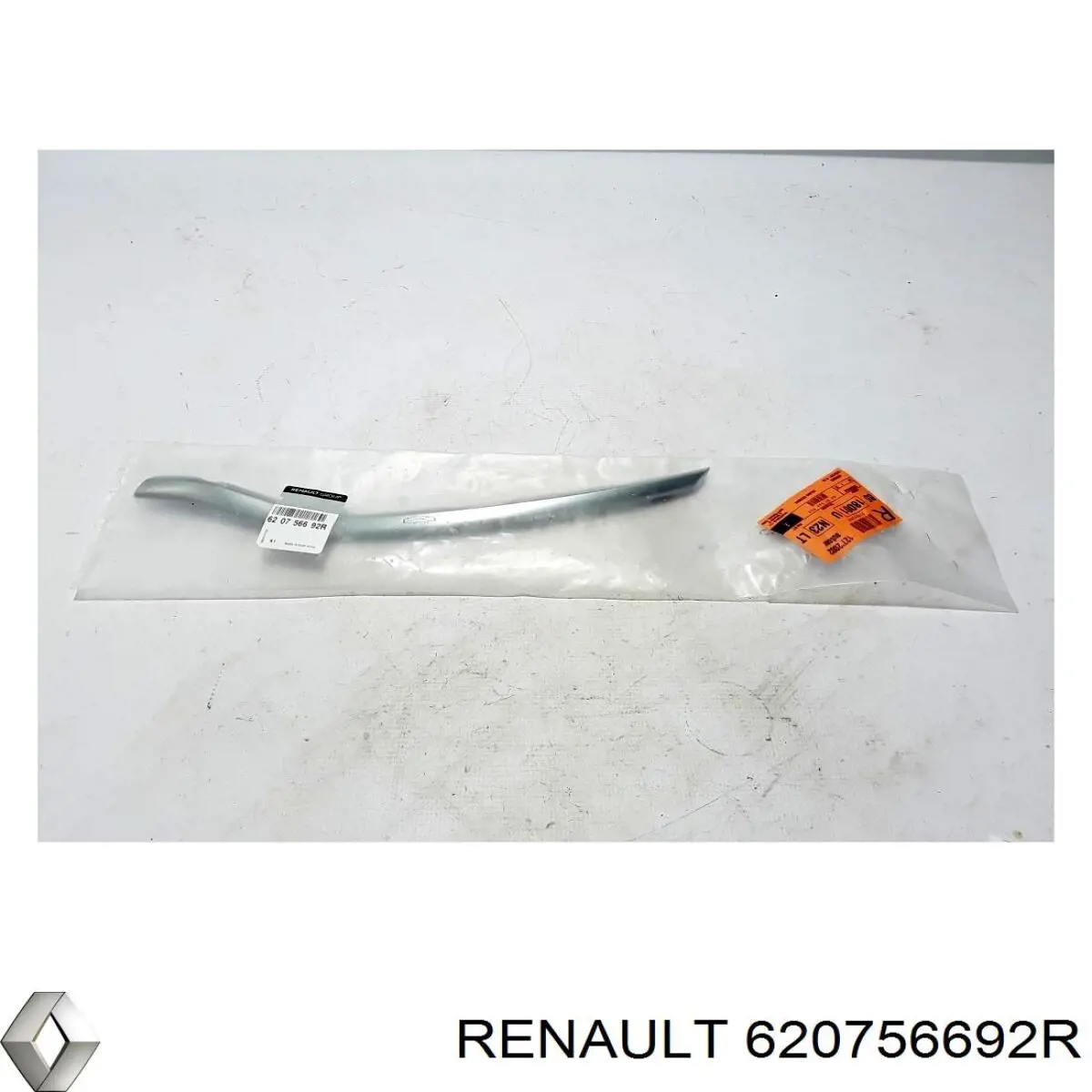 Купить 620756692R Renault (RVI) 