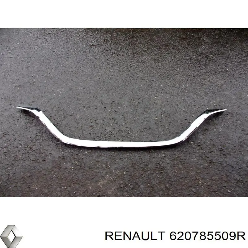  620785509R Renault (RVI)