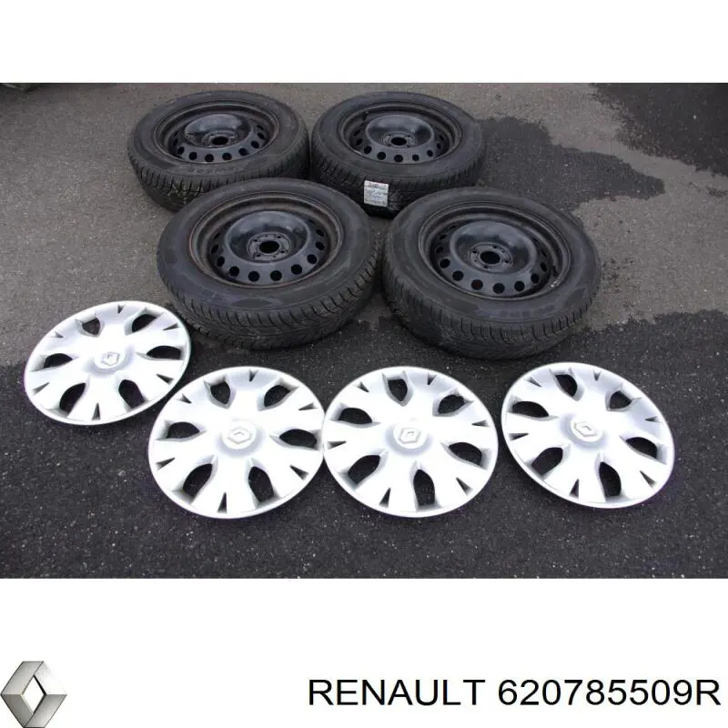  Renault (RVI) 620785509R цена, от 223.79 USD