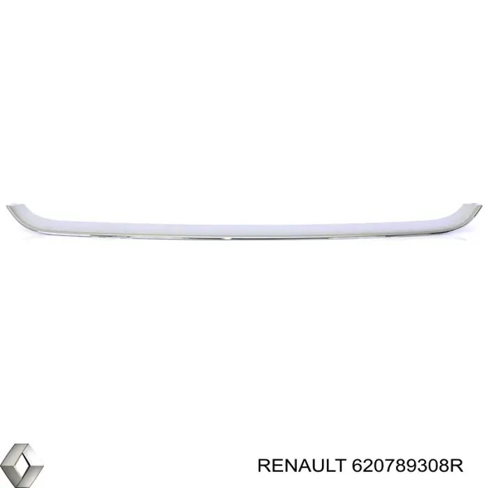 620789308R Renault (RVI)