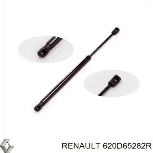 620D65282R Renault (RVI) 