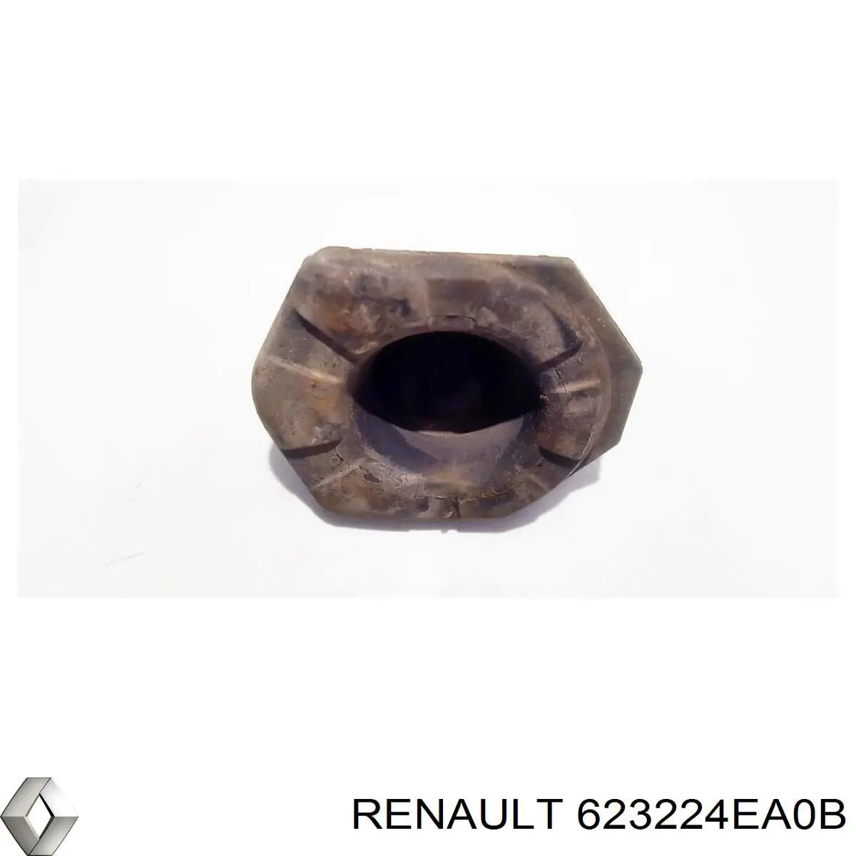 623224EA0B Renault (RVI) 