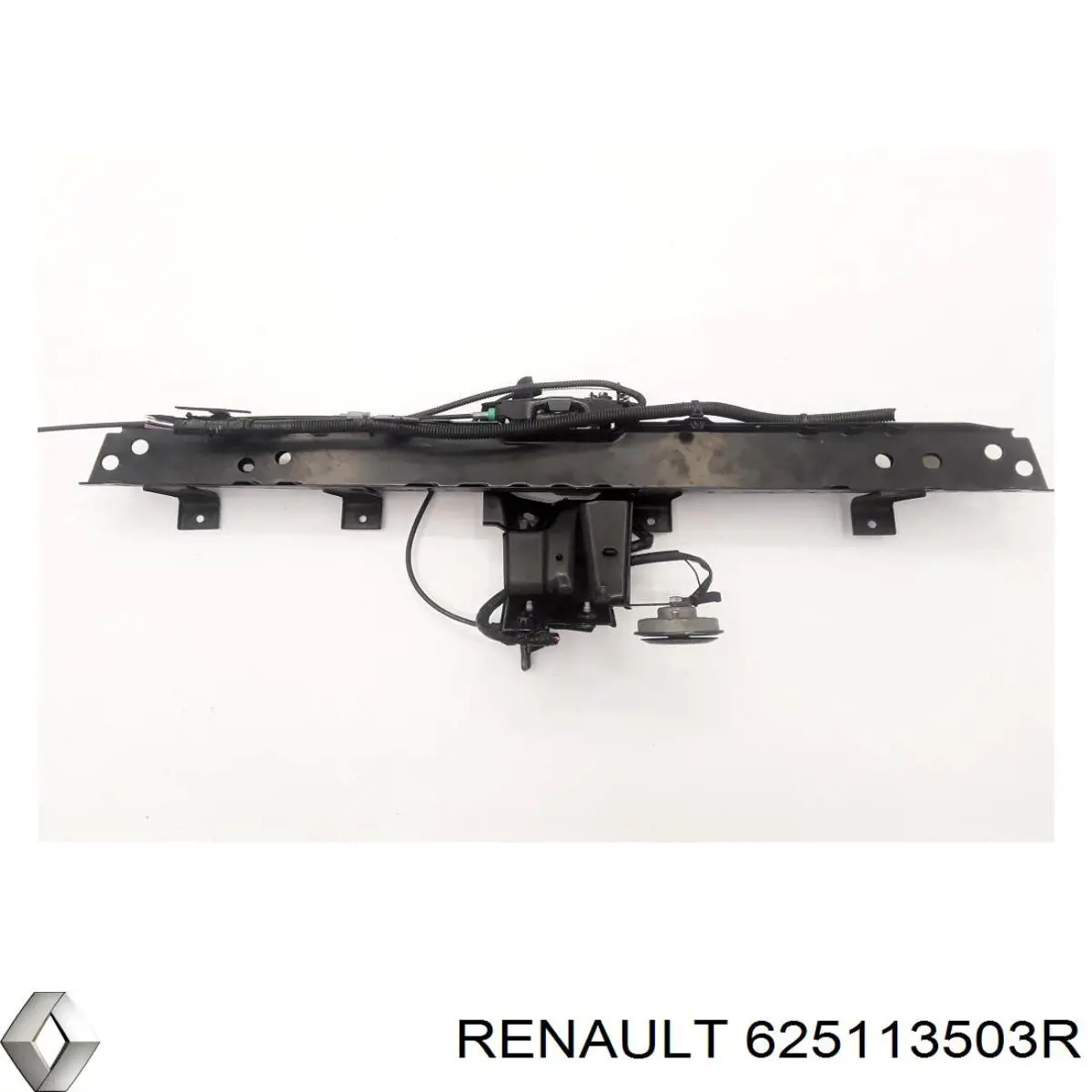  625113503R Renault (RVI)