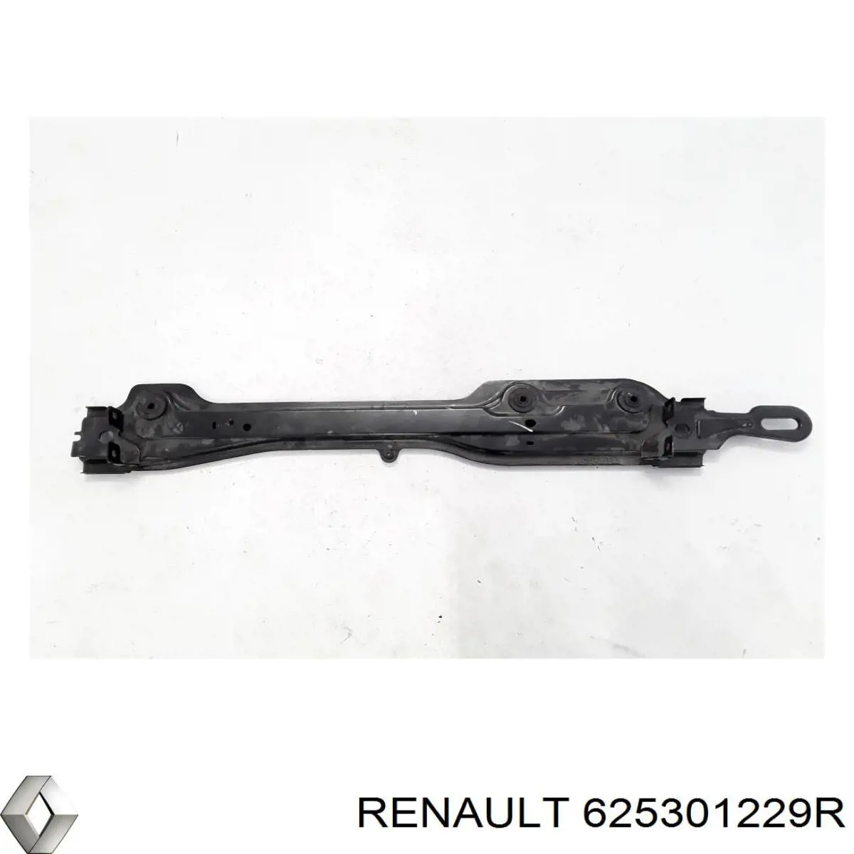  625301229R Renault (RVI)