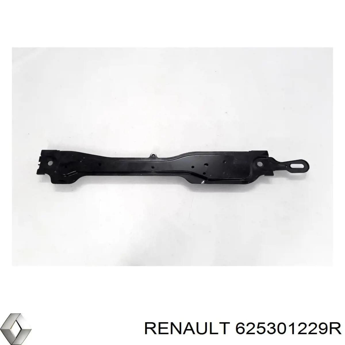 625301229R Renault (RVI) 