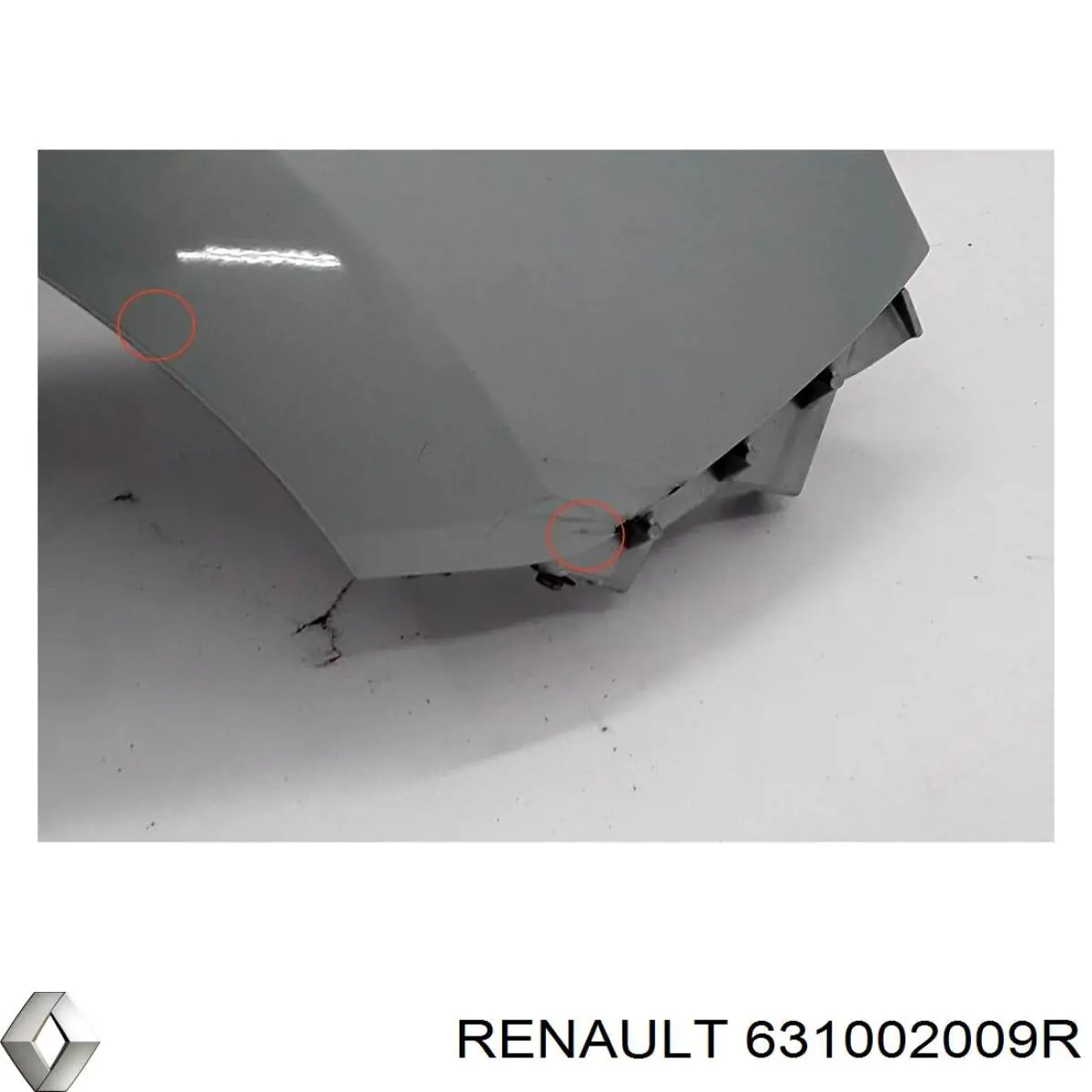 Купить 631002009R Renault (RVI) 