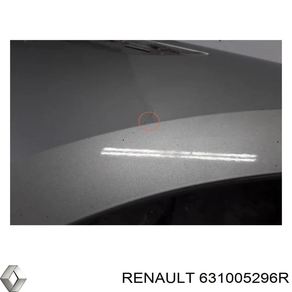 Купить 631005296R Renault (RVI) 