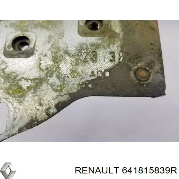 641815839R Renault (RVI) 