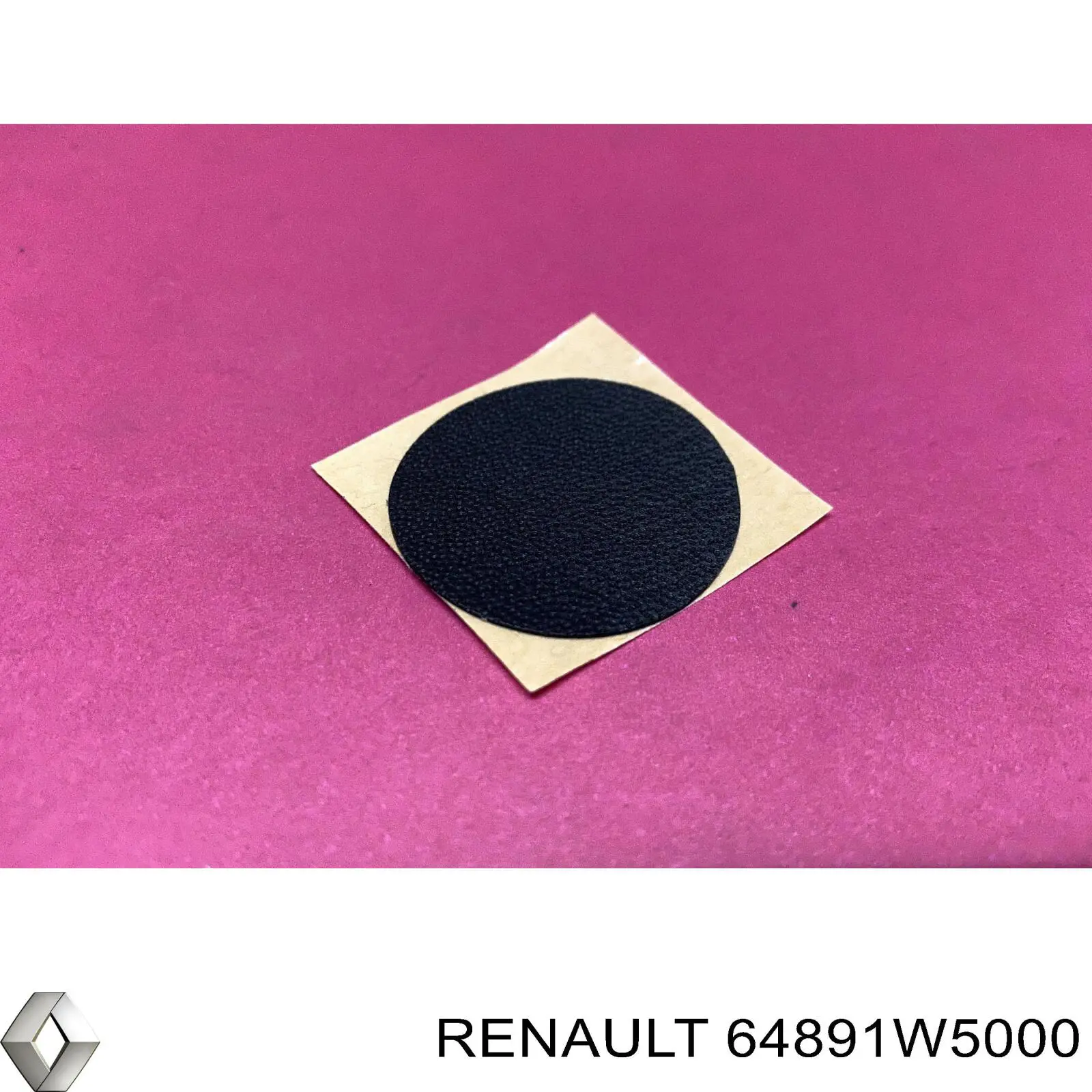  64891W5000 Renault (RVI)