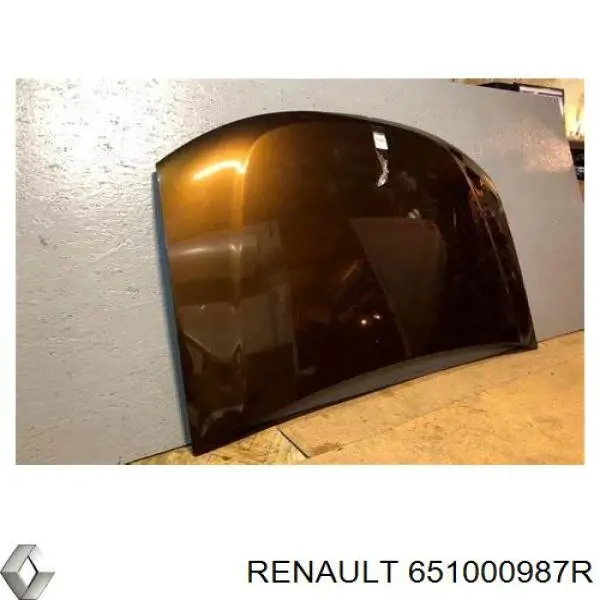 651000987R Renault (RVI)