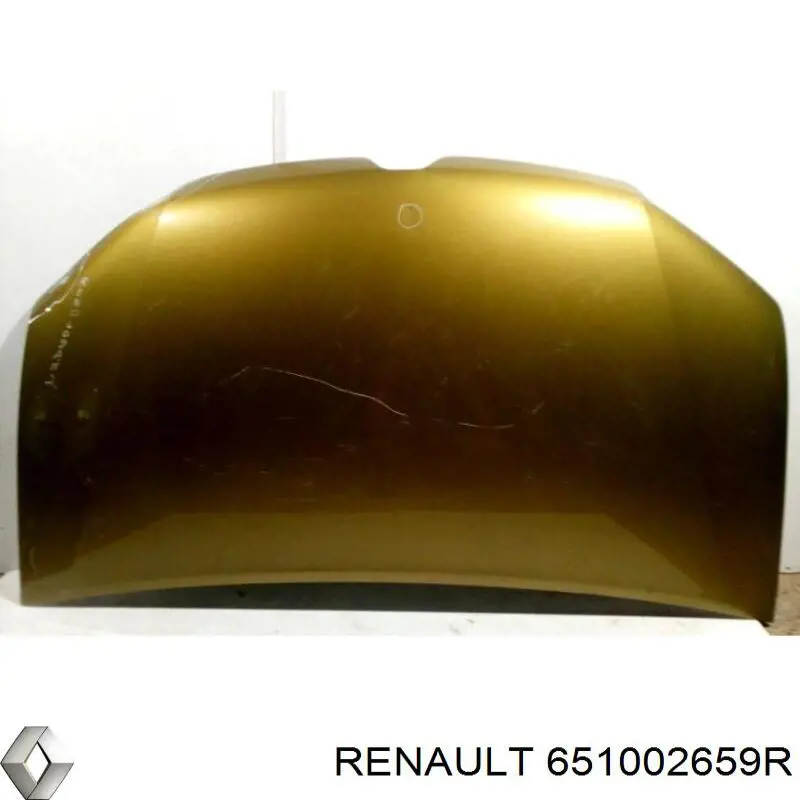 651002659R Renault (RVI) капот