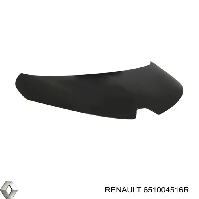 651004516R Renault (RVI) 