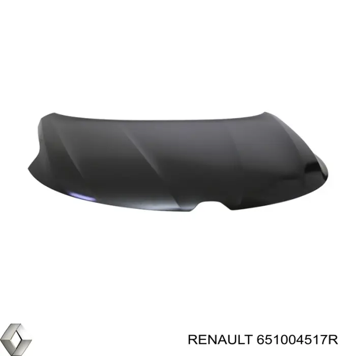 651004517R Renault (RVI) 