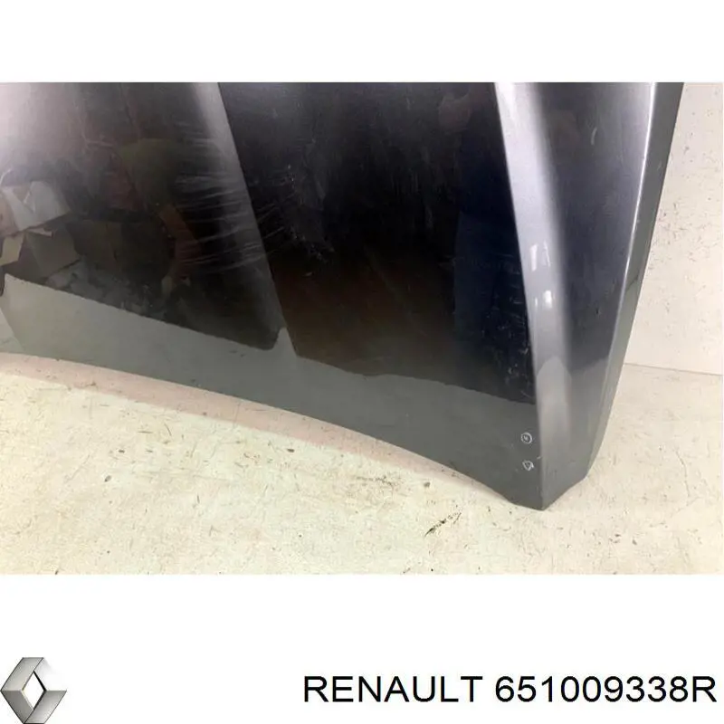 651009338R Renault (RVI) 