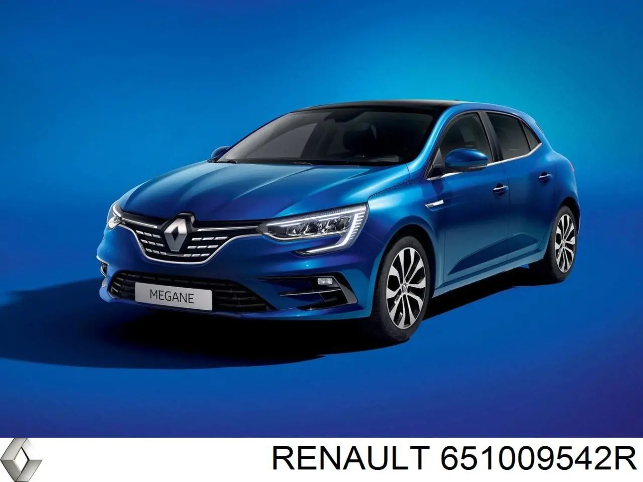 651009542R Renault (RVI) capota