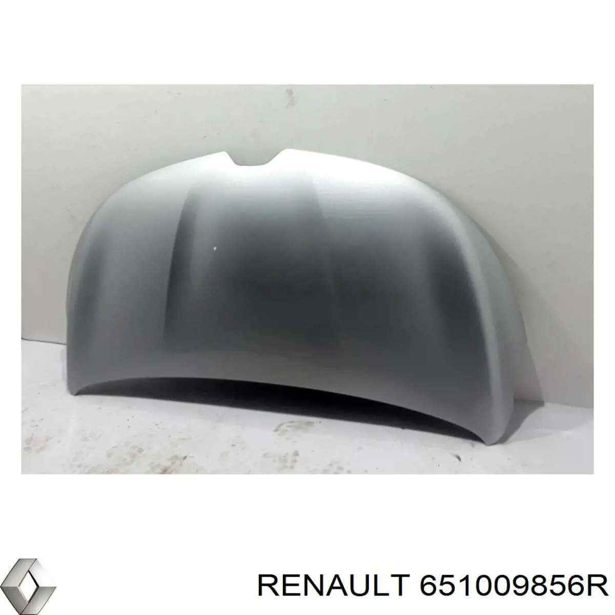  651009856R Renault (RVI)