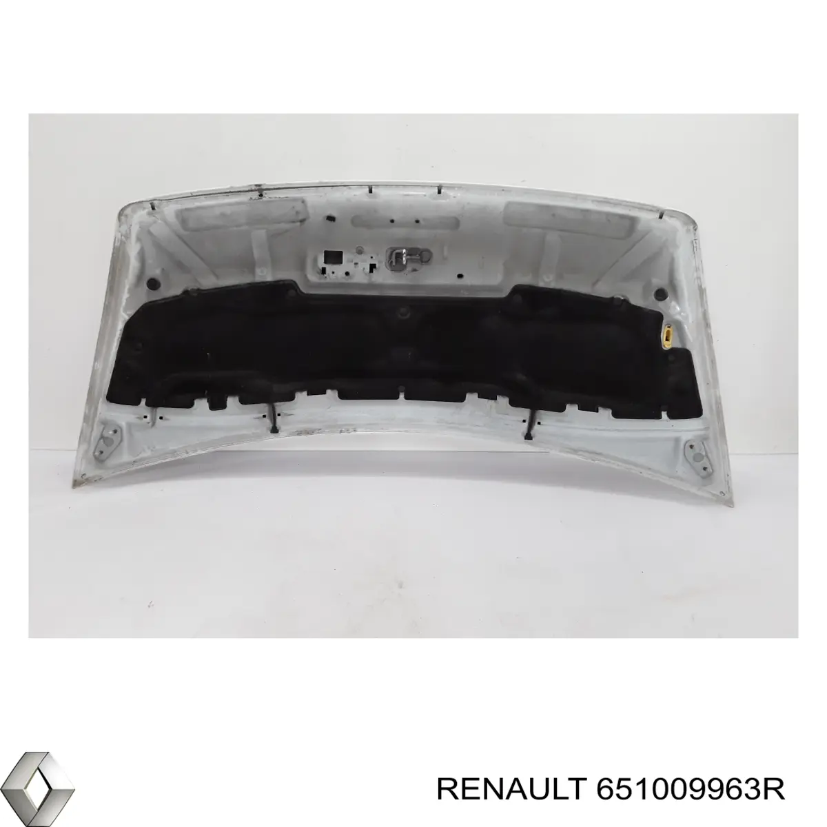 Капот 651009963R Renault (RVI)