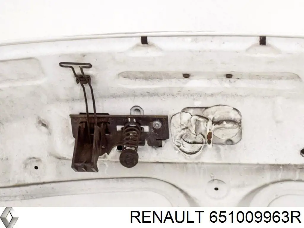 Капот Renault (RVI) 651009963R цена, от 589.98 USD