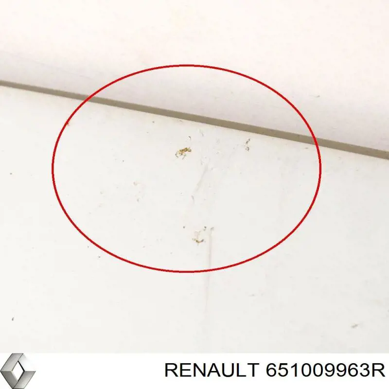 Купить 651009963R Renault (RVI) Капот