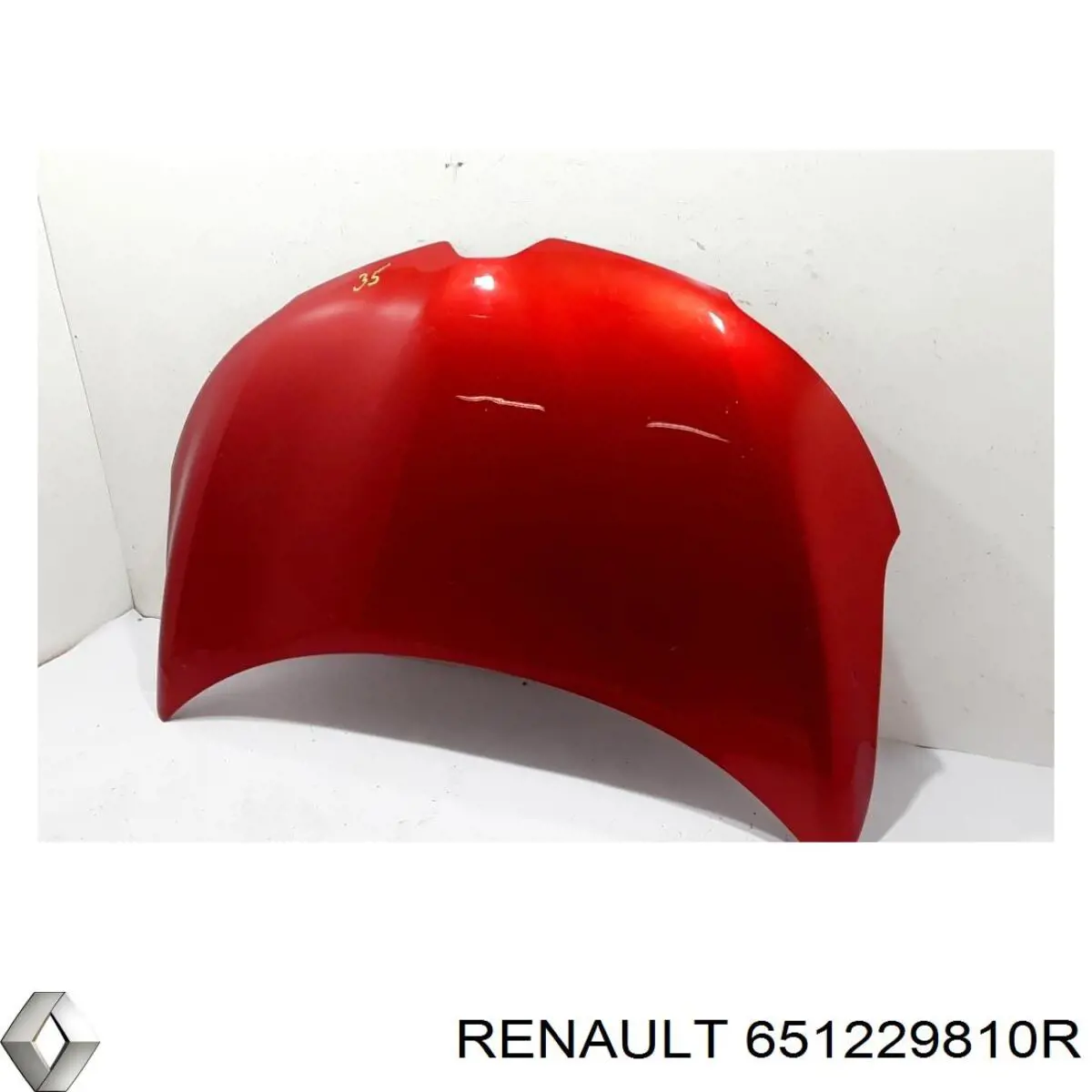  651229810R Renault (RVI)