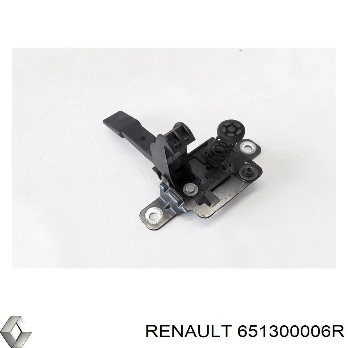 651300006R Renault (RVI) 
