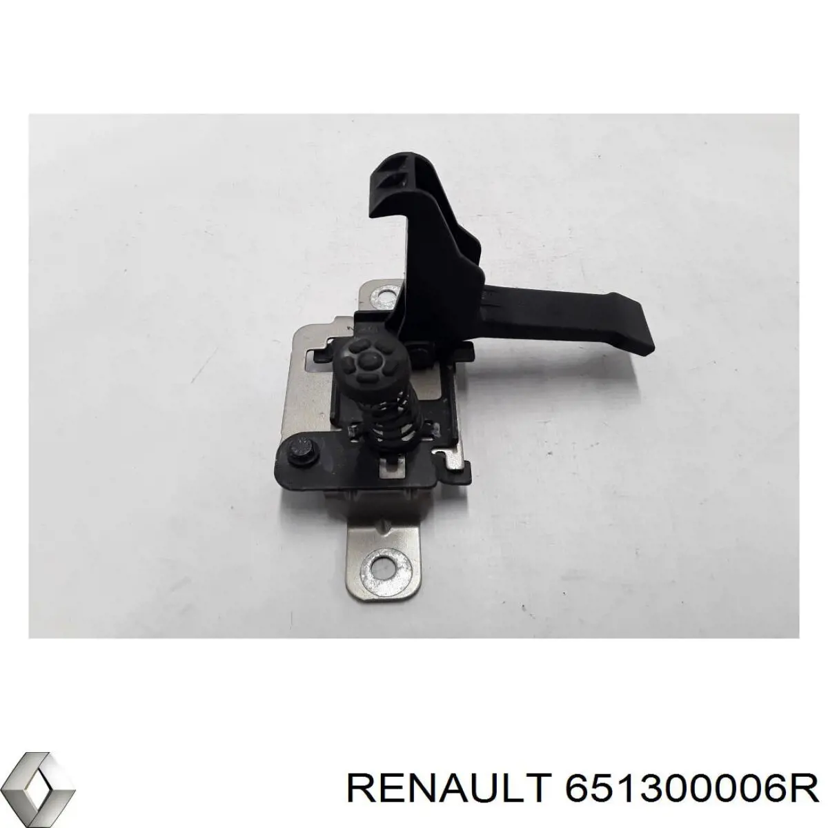 Купить 651300006R Renault (RVI) 
