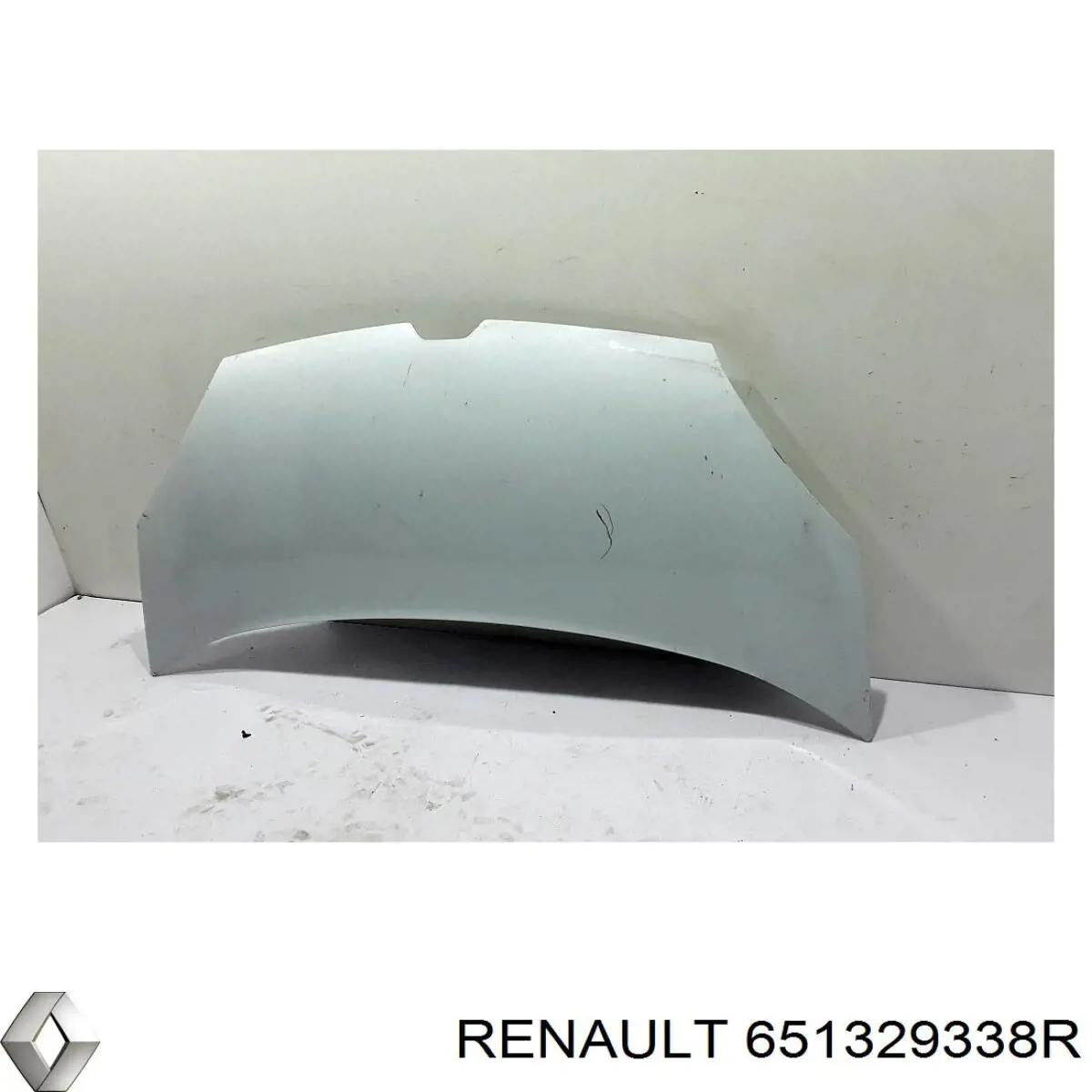  651329338R Renault (RVI)