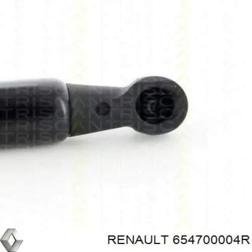  654700010R Renault (RVI)