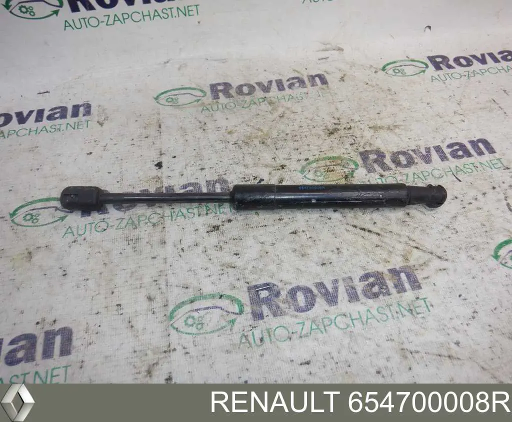 Амортизатор капота Renault (RVI) 654700008R