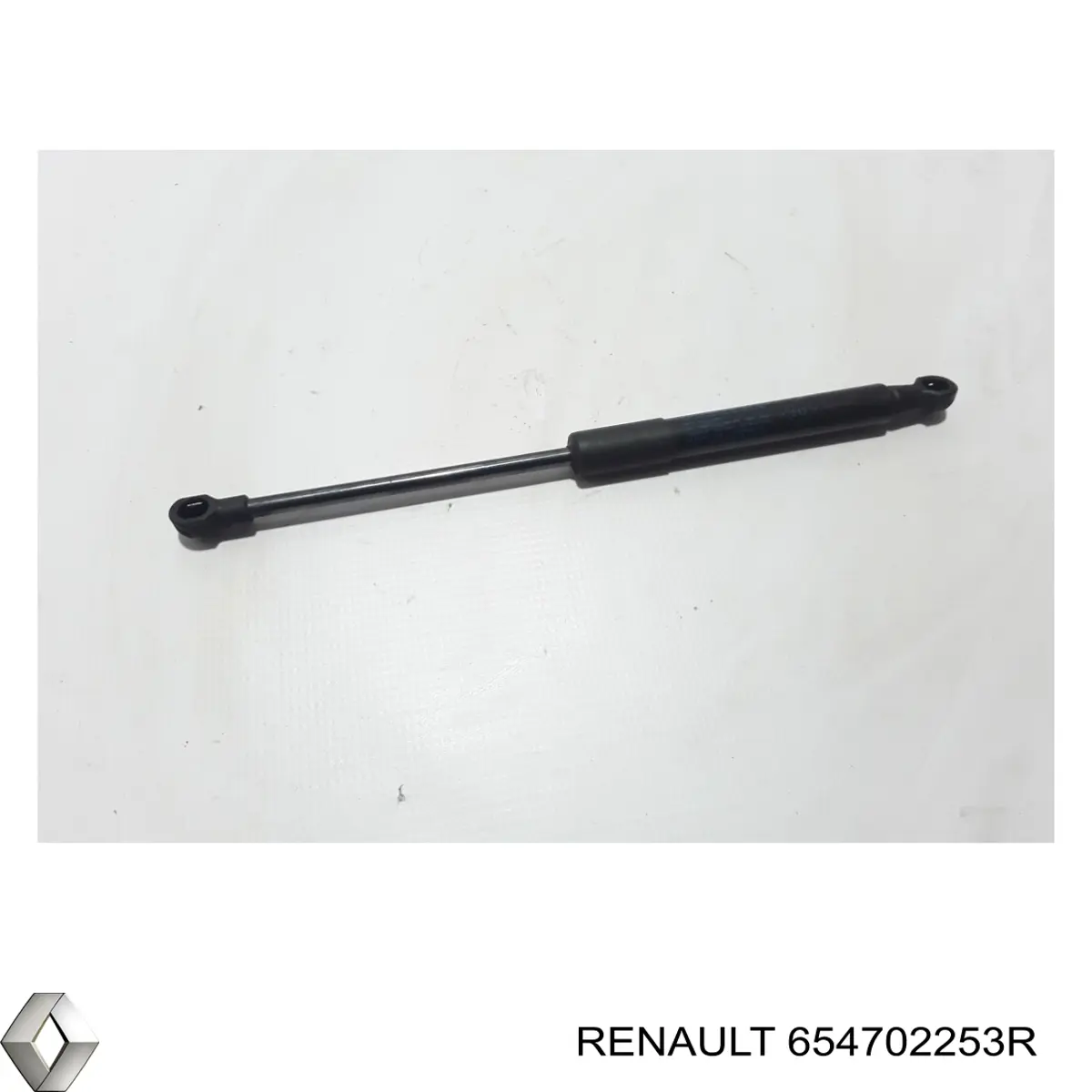 654702253R Renault (RVI) 