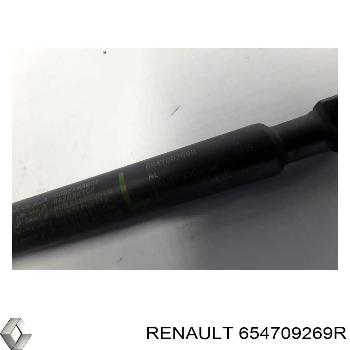 Купить 654709269R Renault (RVI) 
