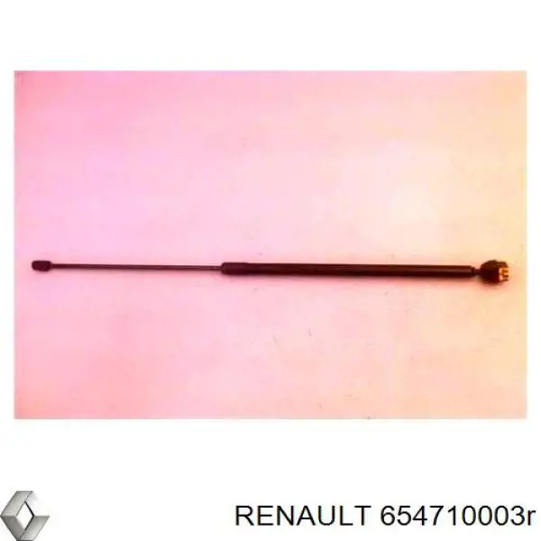 Амортизатор капота Renault (RVI) 654710003R