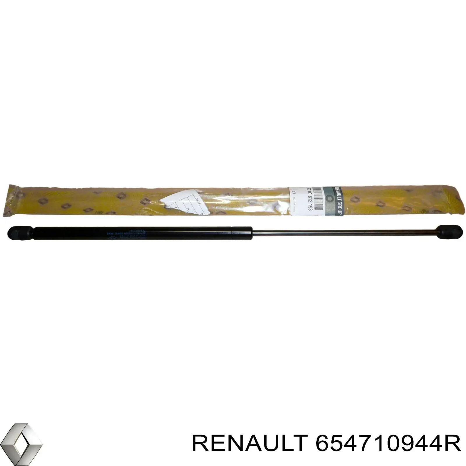 654710944R Renault (RVI)