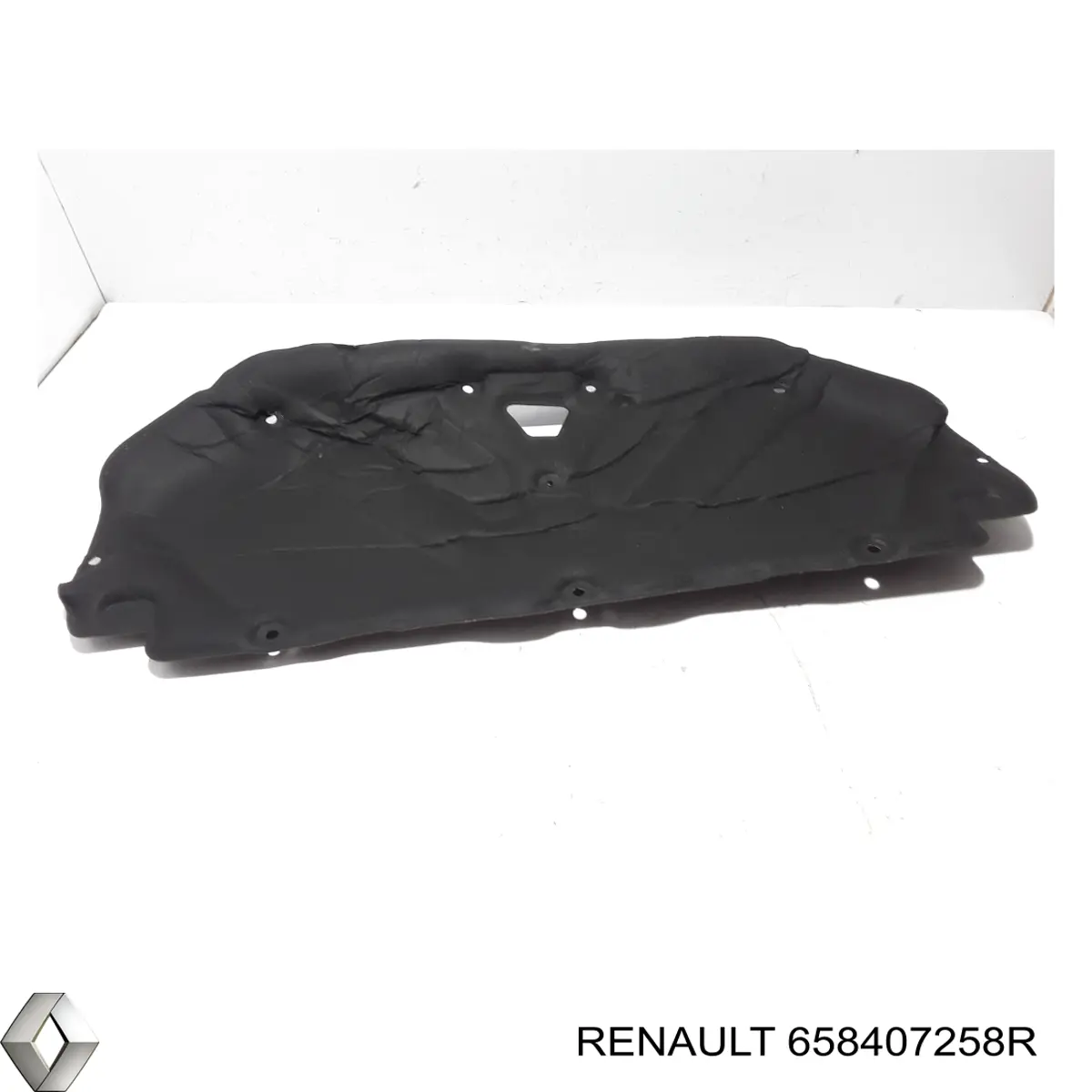 658407258R Renault (RVI) 