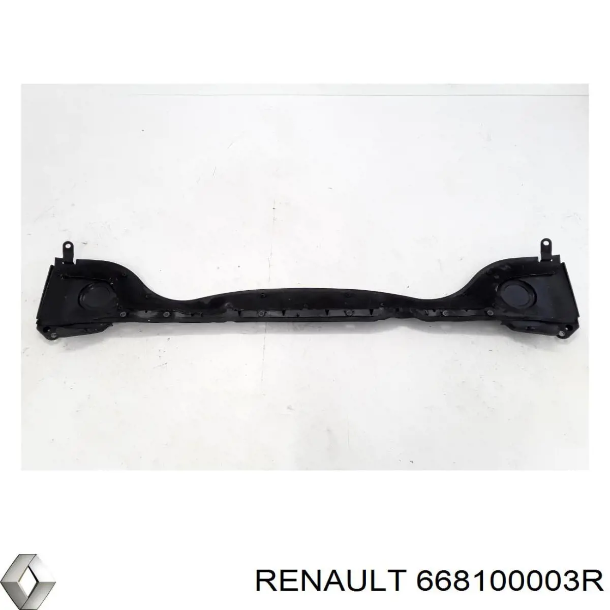 668100003R Renault (RVI) 