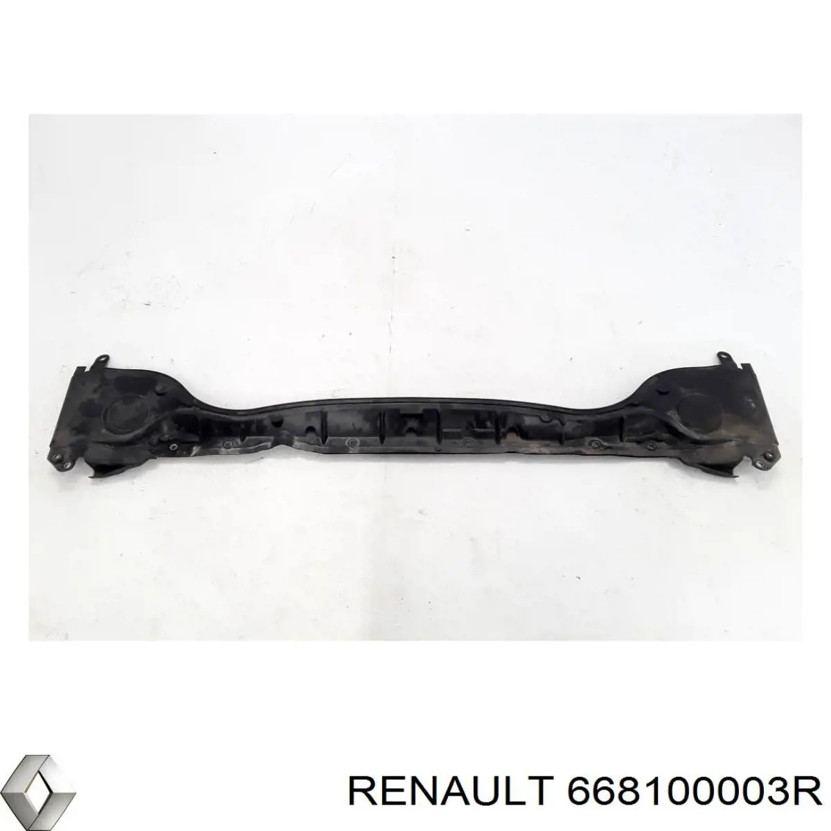 Купить 668100003R Renault (RVI) 