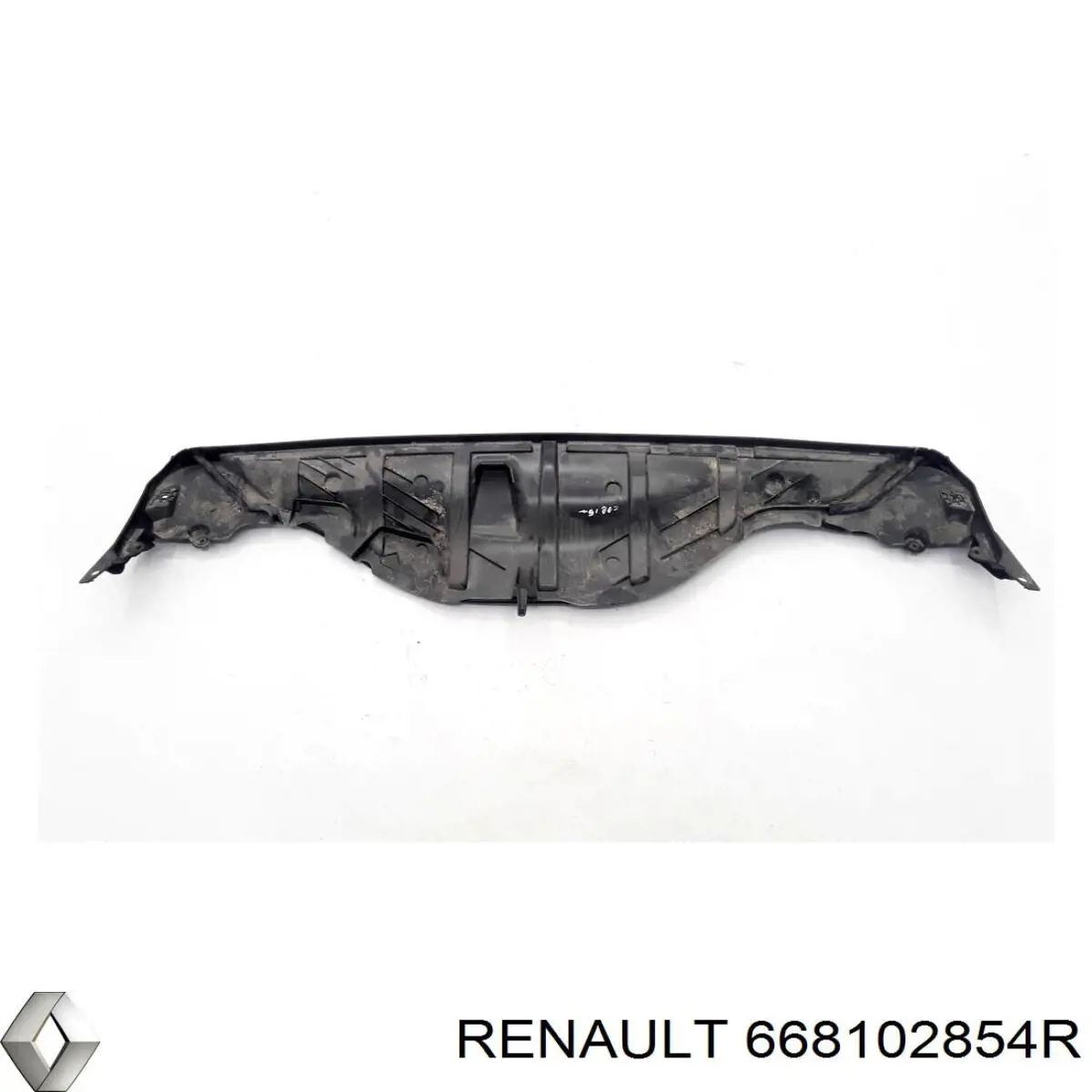 668102854R Renault (RVI) 