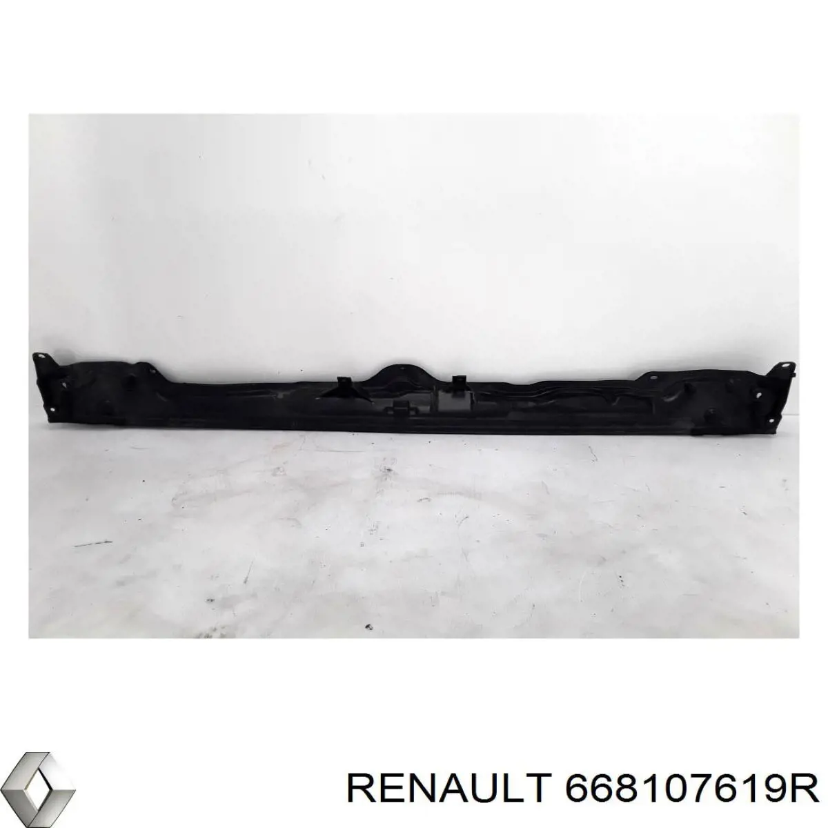  668107619R Renault (RVI)