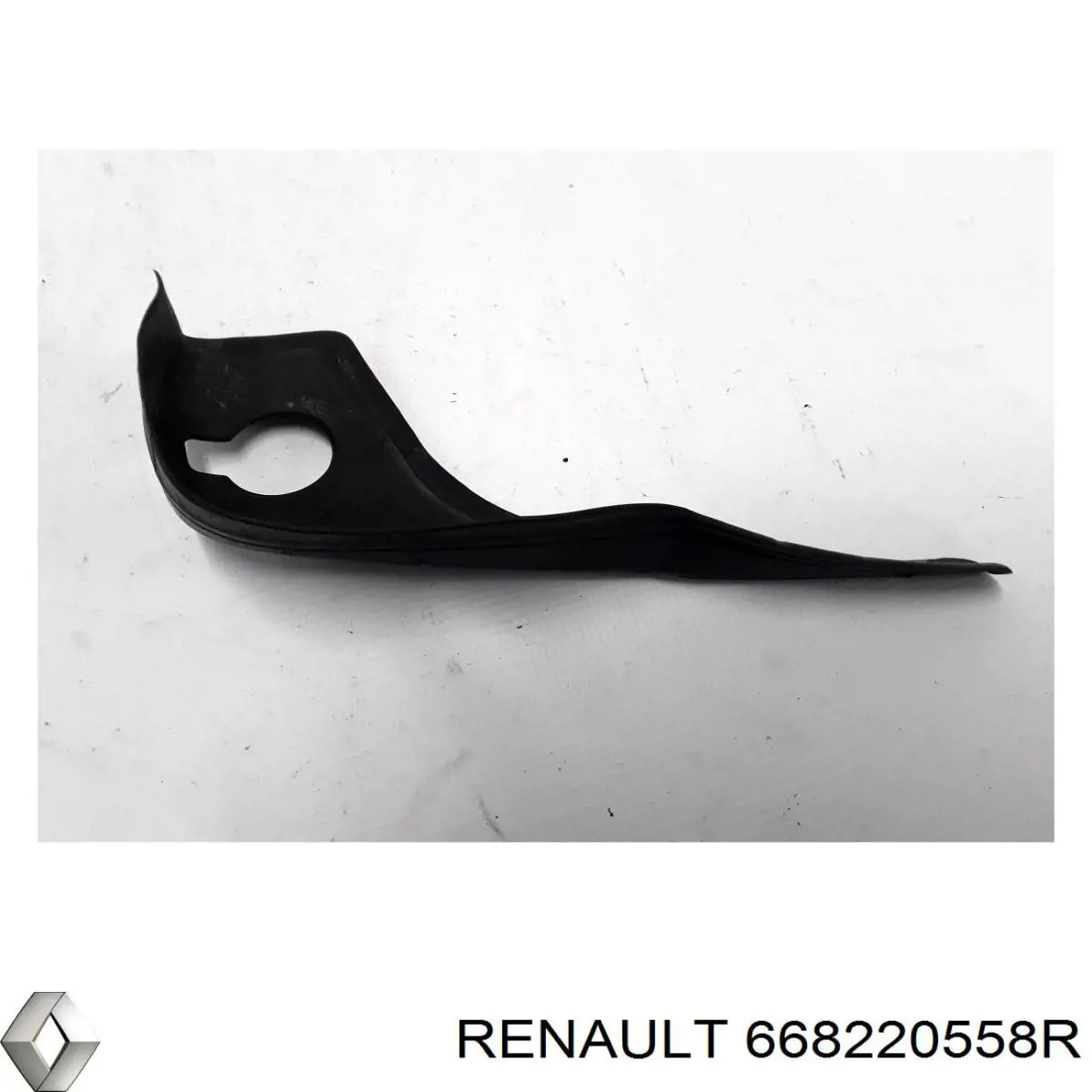 668220558R Renault (RVI) 