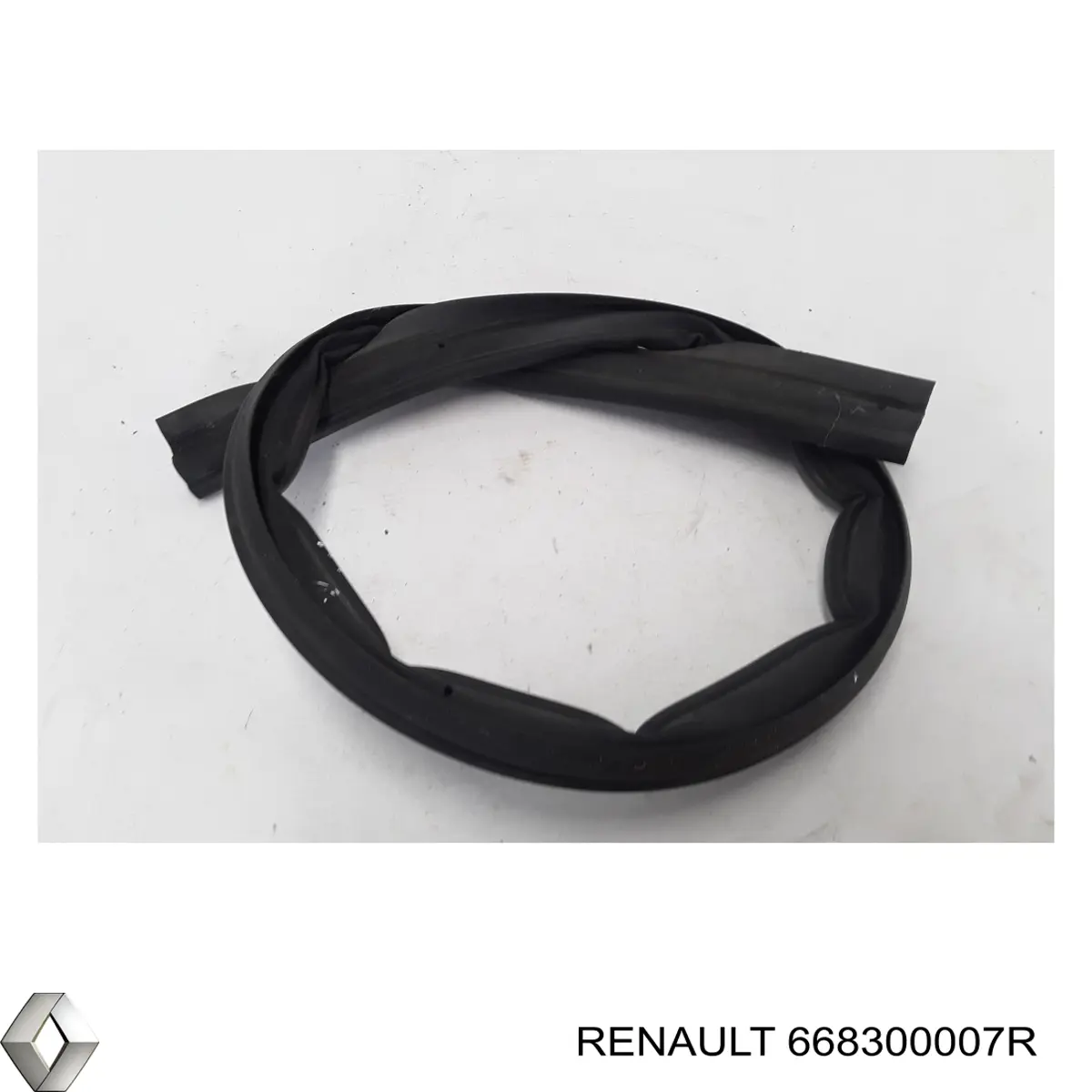 668300007R Renault (RVI) 