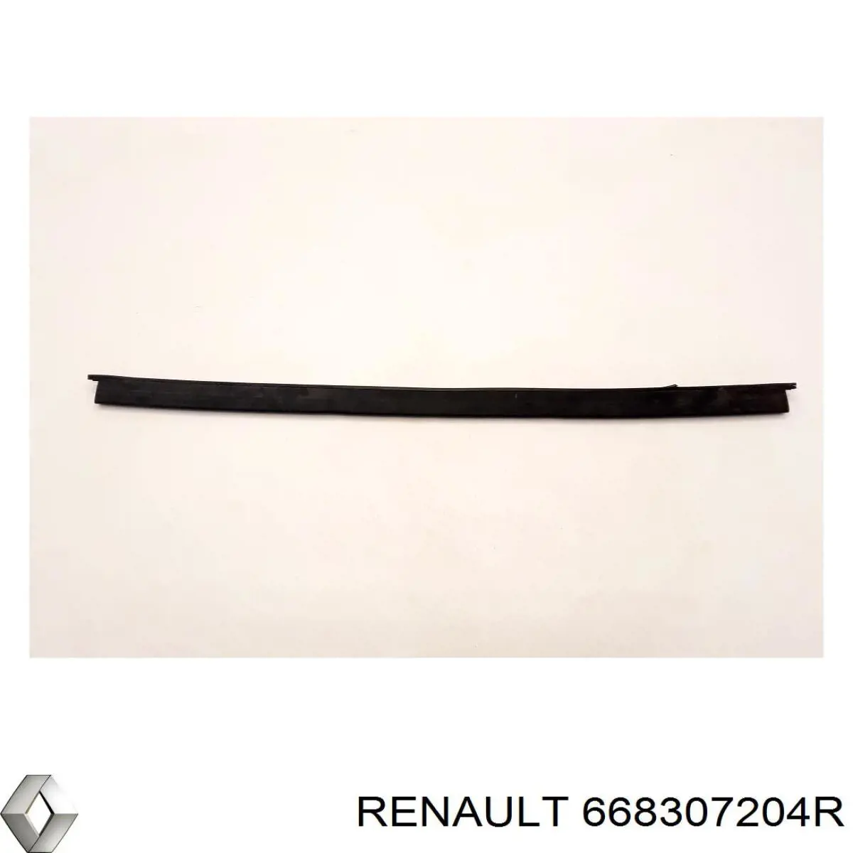  668307204R Renault (RVI)