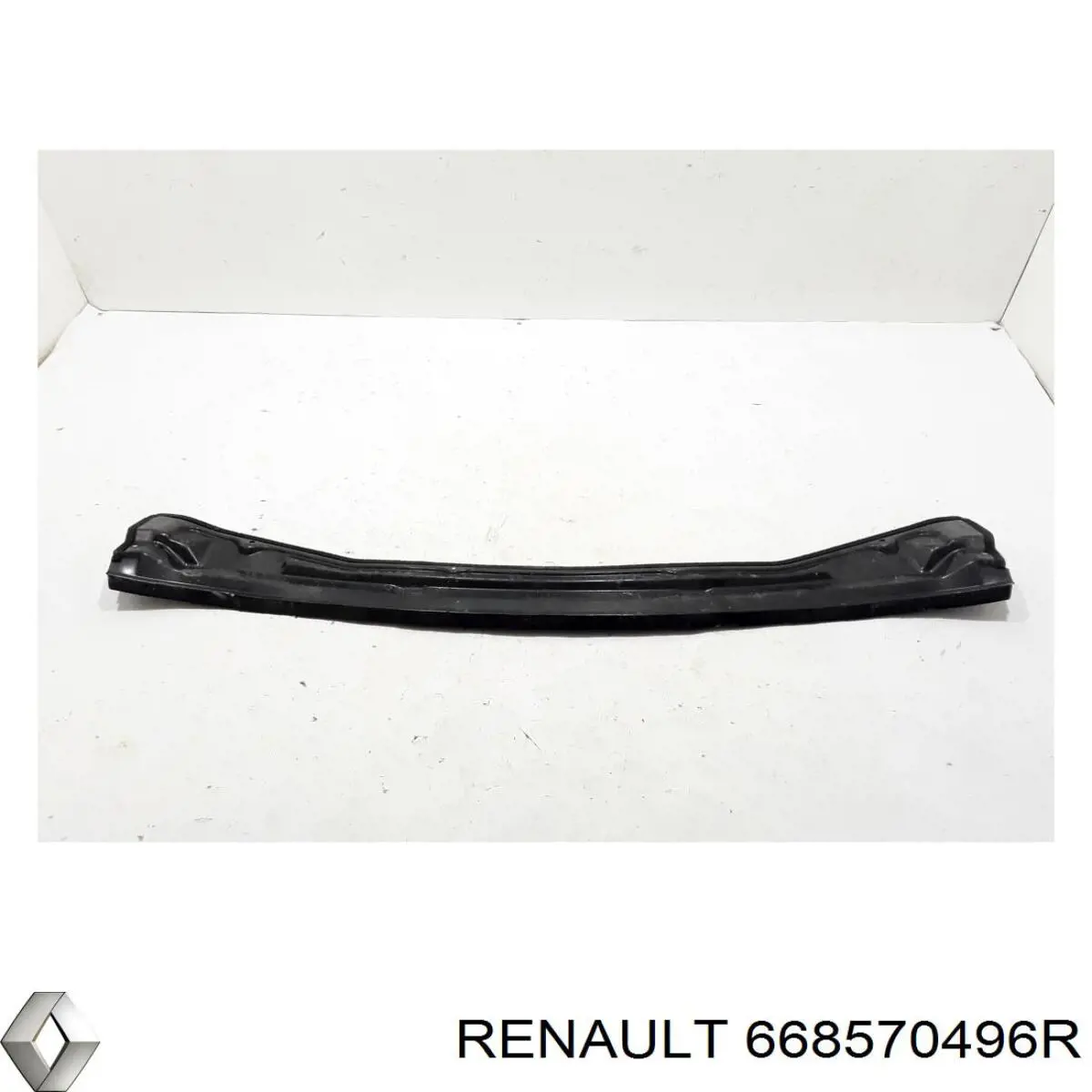 668570496R Renault (RVI) 