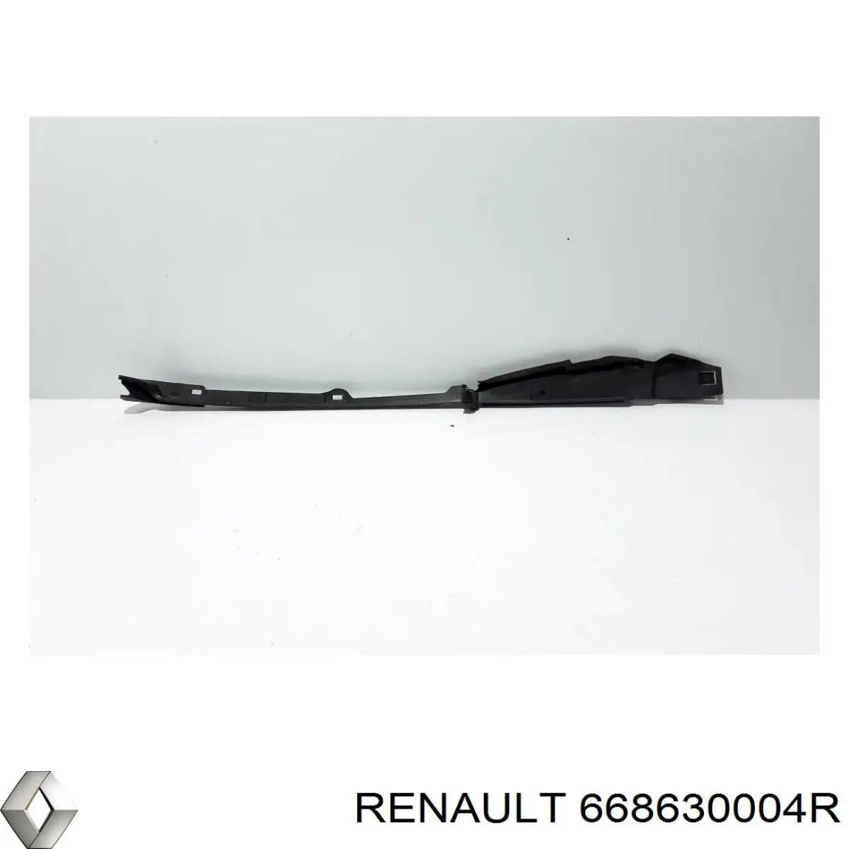 668630004R Renault (RVI) 