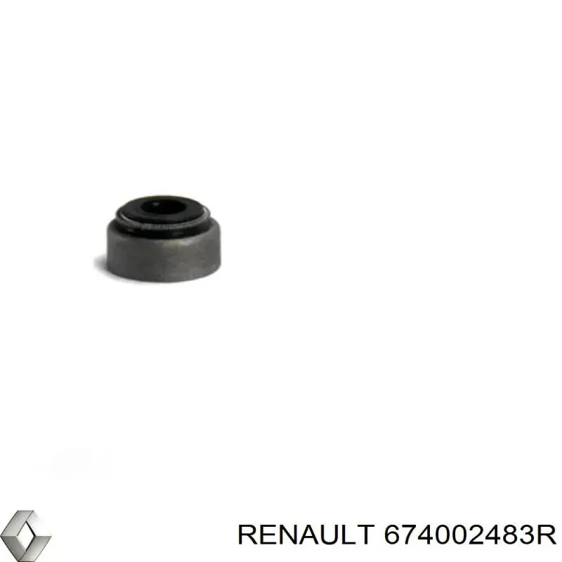  Renault (RVI) 674002483R цена, от 50.68 USD