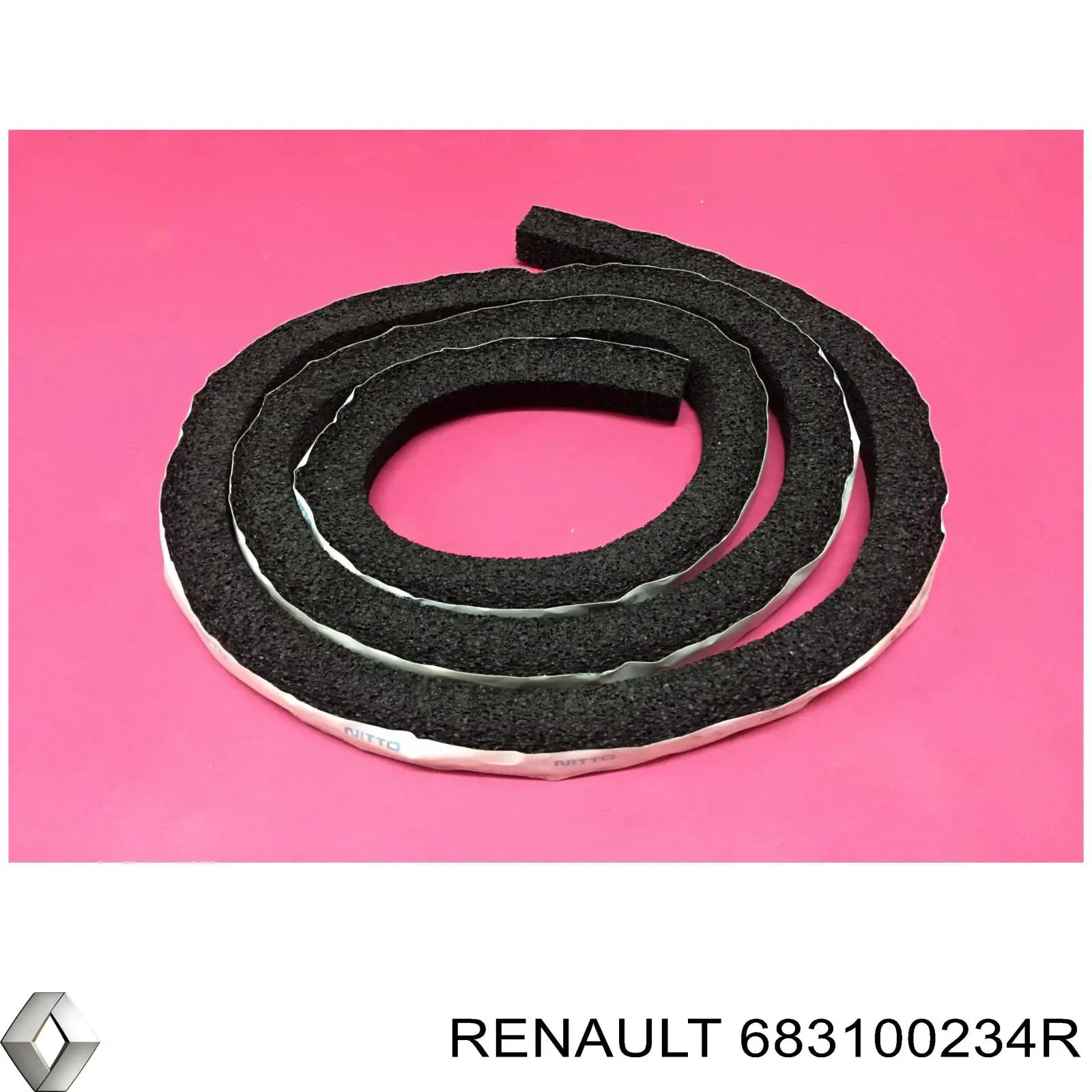 683100234R Renault (RVI) 